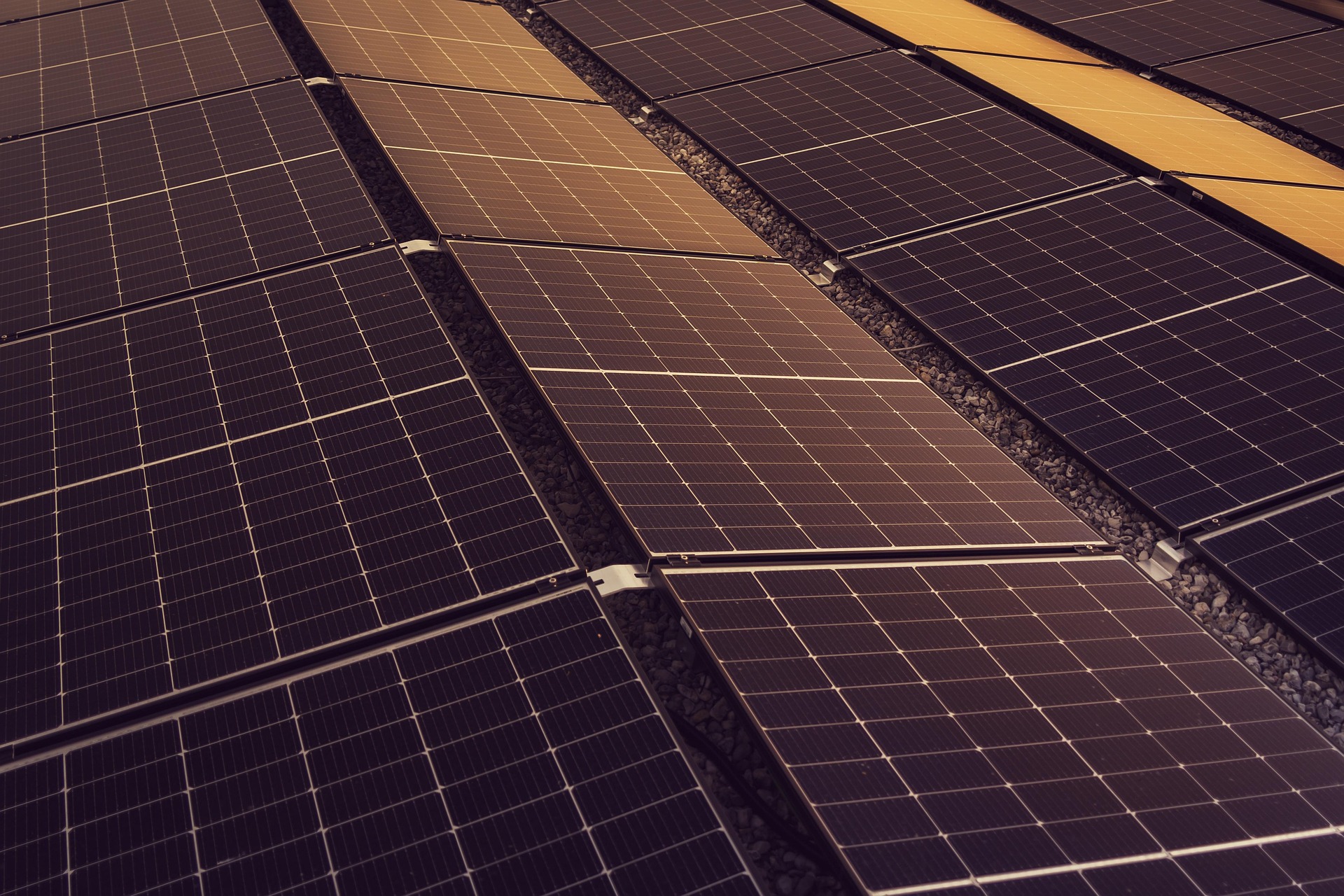 Rows of solar panels seen from above